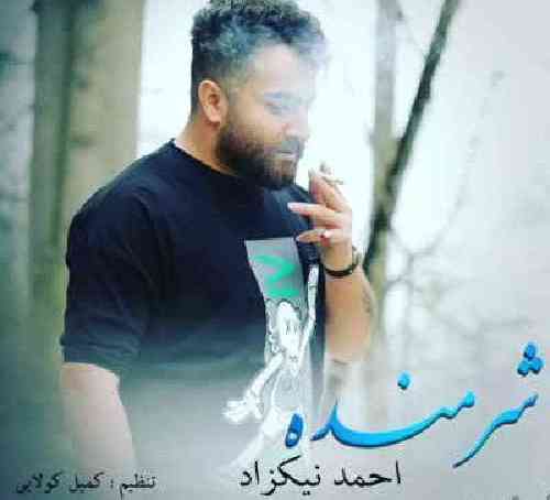 احمد نیکزاد شرمنده 